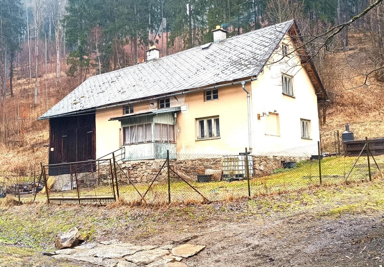 statek leznik